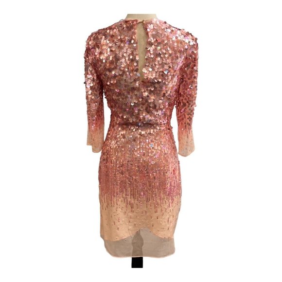 Halston Heritage Pink Chiffon Sequin Dress Knee Length Sheer Lined Size 2 - Picture 3 of 11
